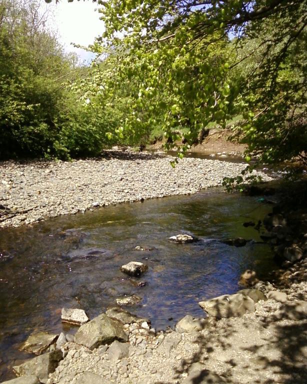 Lennoxtown Dingieshowe Cottage מראה חיצוני תמונה